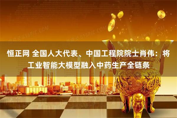 恒正网 全国人大代表、中国工程院院士肖伟：将工业智能大模型融入中药生产全链条
