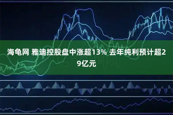 海龟网 雅迪控股盘中涨超13% 去年纯利预计超29亿元
