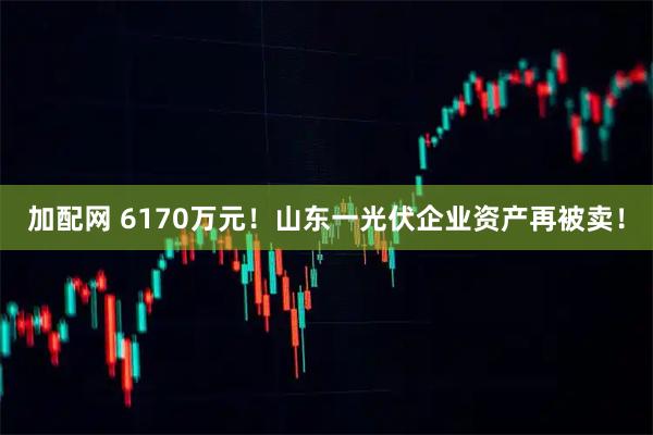 加配网 6170万元！山东一光伏企业资产再被卖！