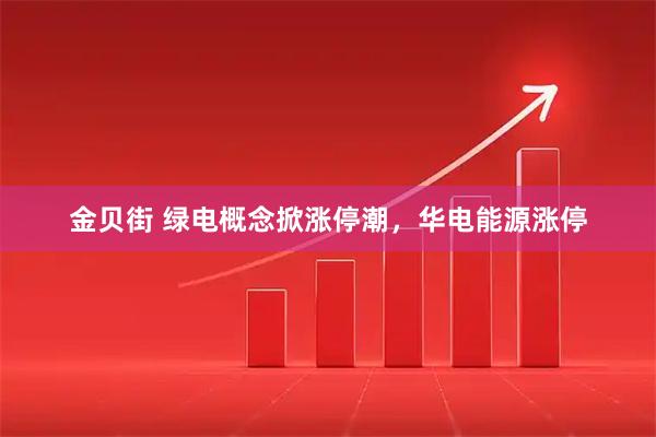 金贝街 绿电概念掀涨停潮，华电能源涨停