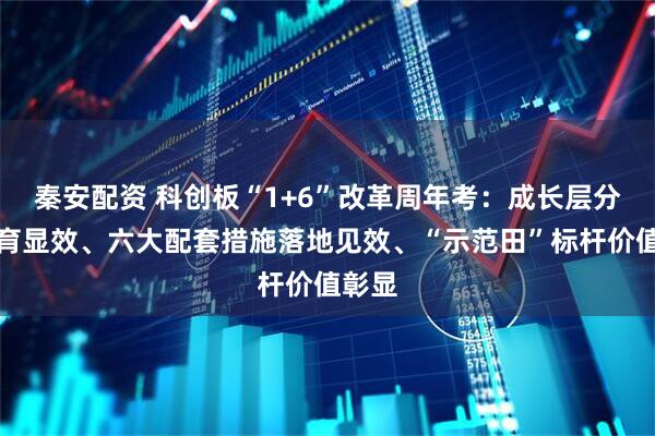 秦安配资 科创板“1+6”改革周年考：成长层分层培育显效、六大配套措施落地见效、“示范田”标杆价值彰显