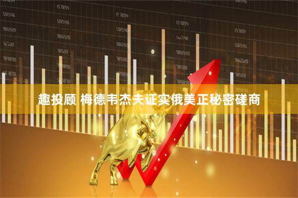 趣投顾 梅德韦杰夫证实俄美正秘密磋商