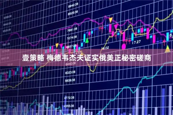 壹策略 梅德韦杰夫证实俄美正秘密磋商