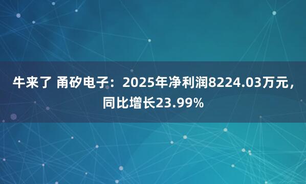 牛来了 甬矽电子：2025年净利润8224.03万元，同比增长23.99%