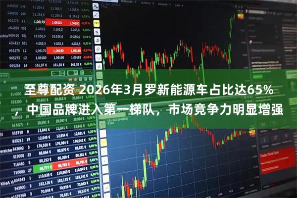 至尊配资 2026年3月罗新能源车占比达65%，中国品牌进入第一梯队，市场竞争力明显增强