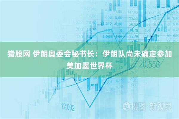 猎股网 伊朗奥委会秘书长：伊朗队尚未确定参加美加墨世界杯