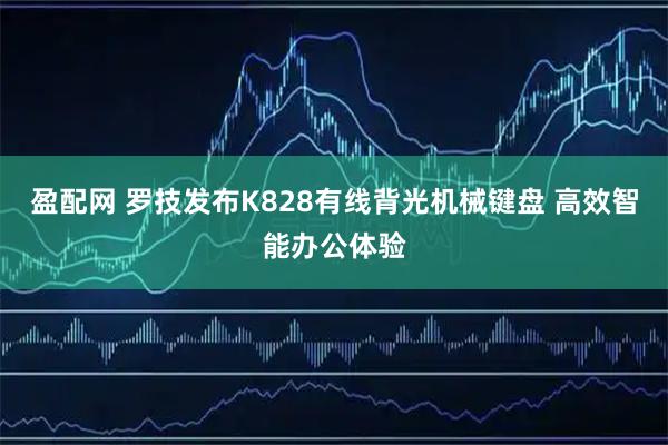 盈配网 罗技发布K828有线背光机械键盘 高效智能办公体验