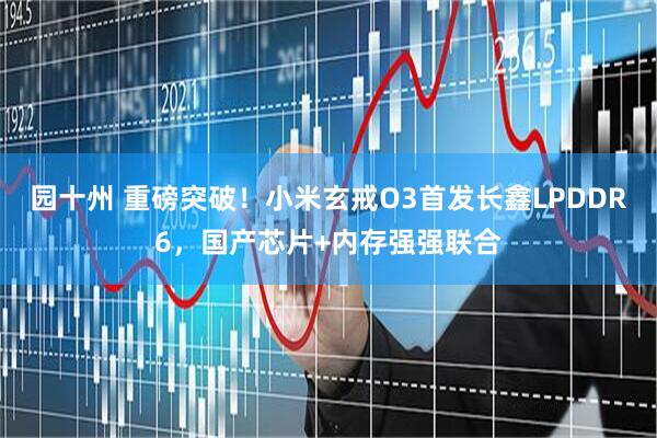 园十州 重磅突破！小米玄戒O3首发长鑫LPDDR6，国产芯片+内存强强联合